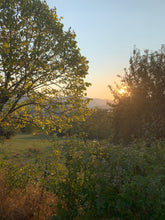 Charger l'image dans la galerie, Golden Hour – Sérum Lumineux aux Plantes